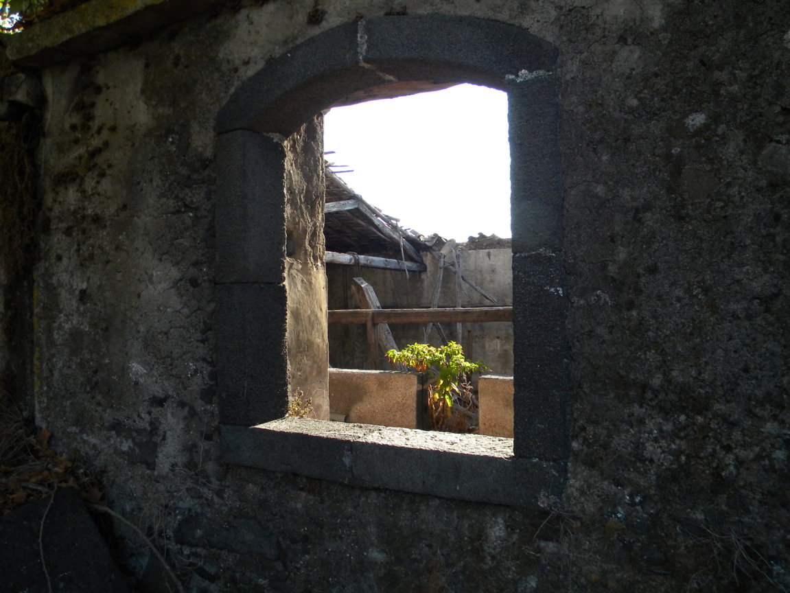 DSCN8030 .JPG